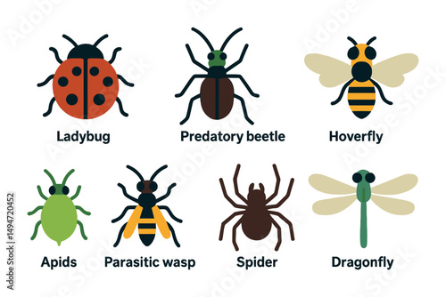 Insect and bug silhouette icons set – solid, filled, entomology and nature symbols