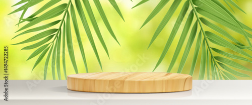 Round wood stage podium on white floor and palm leaves decor on green summer wall background. Realistic cylinder platform with foliage of tropical plant. Natural showcase mockup for product display.