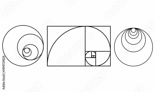 Set of geometric spirals Fibonacci, golden ratio, and concentric circles. Ideal for math, design, education and art concepts. Clean black line vector illustration.
