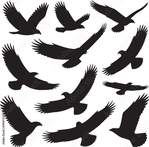 Black silhouette illustrations of soaring eagles with various wing positions on a white background