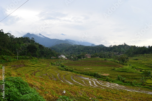 landscape in the mountains