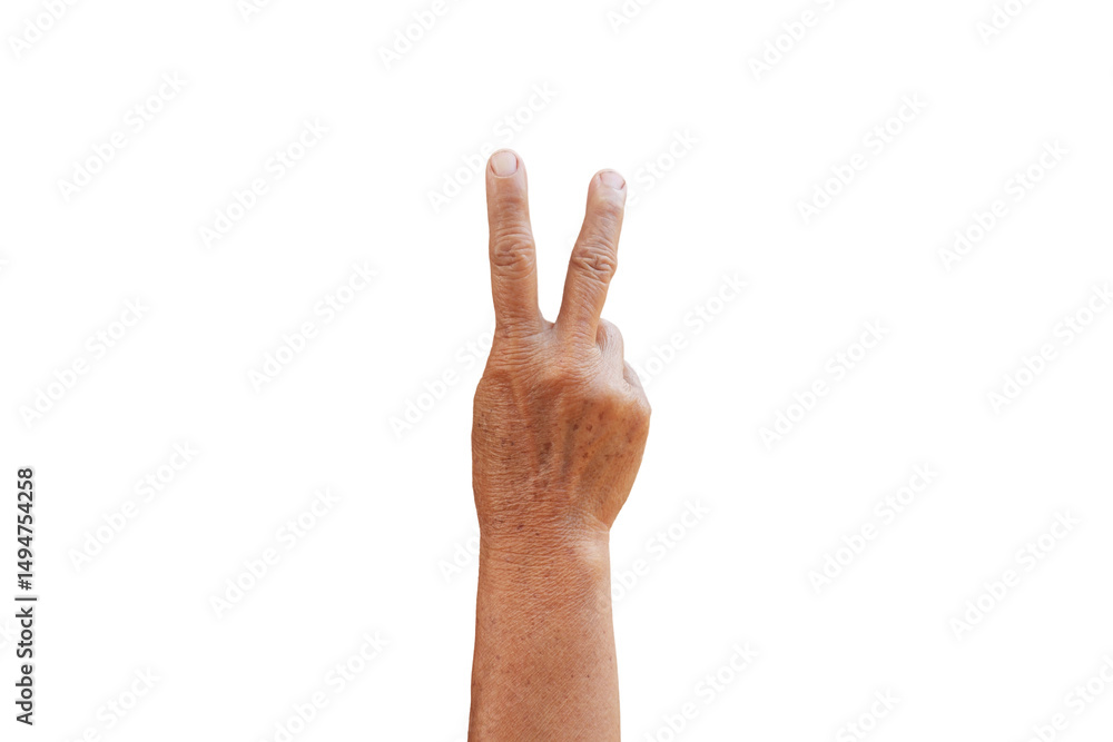 Fototapeta premium Elderly woman's hand showing her hand up making gestures such as excellent, grab, fight, shake hands on white background.
