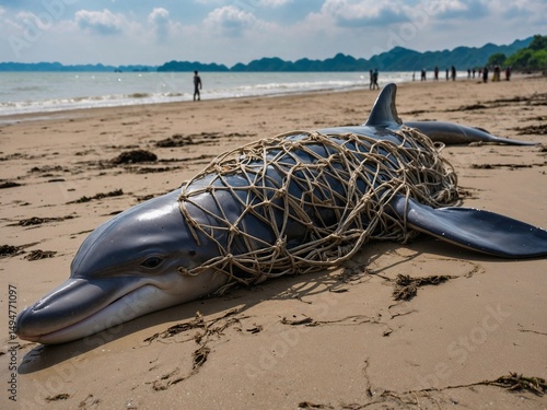 Marine Animals and Marine Wastes