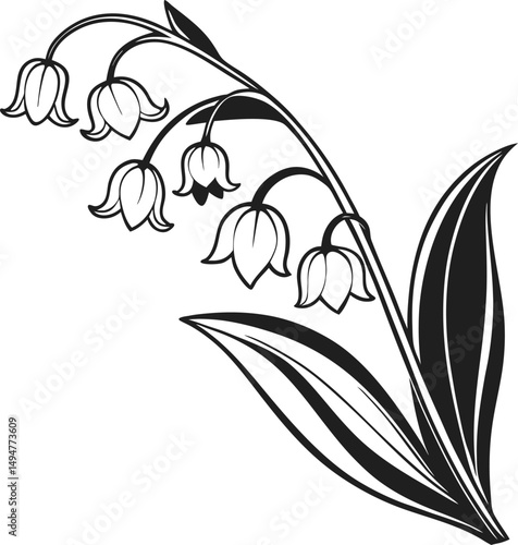 Elegant black and white lily of the valley illustration