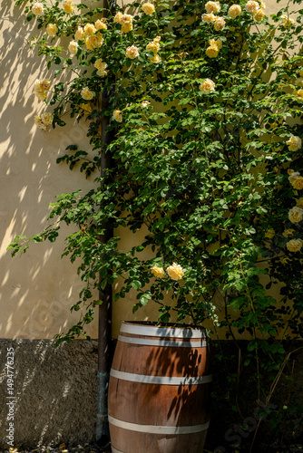 flowers in an Italian farmhouse