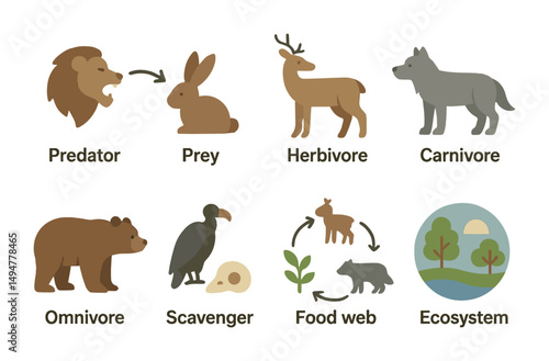 Wildlife and nature silhouette icons set – flat, linear, animal and ecosystem graphics