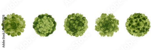 Circular Watercolor Tree Crowns for Eco Garden and Landscape Projects. Architectural Top View Elements for Planning Green Spaces. Isolated Vector Illustration