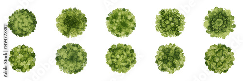 Overhead Watercolor Trees in Varied Green Tones for Sustainable Map and Garden Planning. Environmental Design Assets. Isolated Vector Illustration