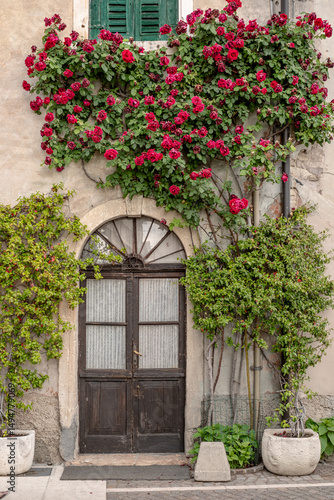 flowers in an Italian farmhouse