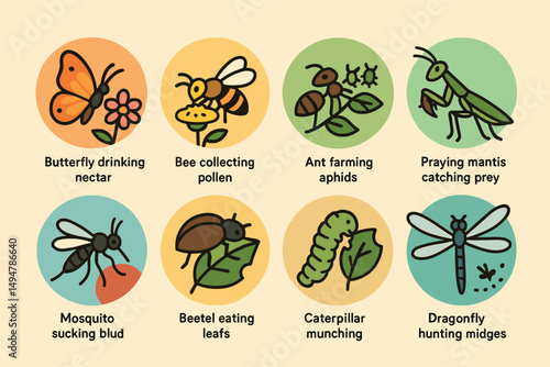 Insect linear icons set – outline, flat, bug and nature symbols
