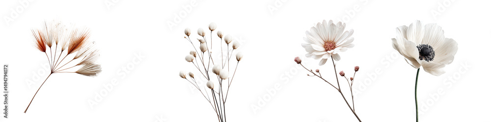 Delicate floral stems and petals in natural setting Delicate floral stems and petals in natural setting
