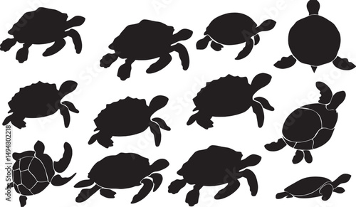 Vector Graphics of Sea Turtles: Black Silhouette Designs for Marine Life and Turtle Conservation Illustrated in Artistic Underwater Nature Set