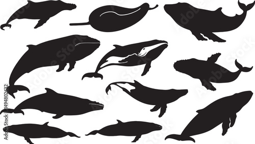 Vivid Marine Silhouettes: Whale and Ocean Animal Vector Art for Eco-Friendly Design and Biodiversity Illustration