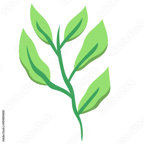 Green Tea Leaves