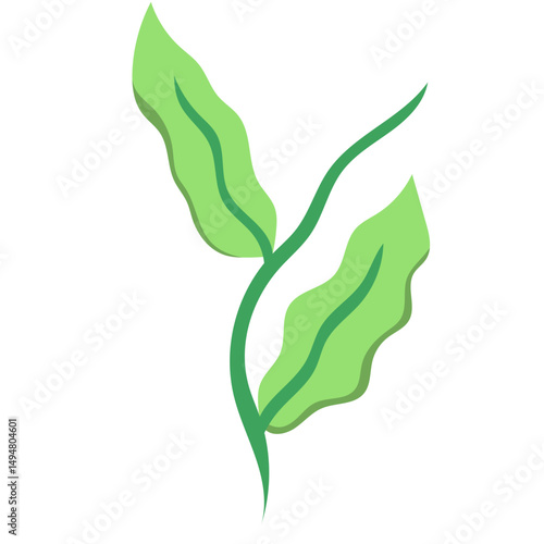 Green Tea Leaves