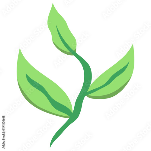 Green Tea Leaves
