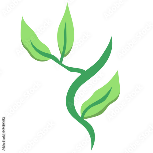 Green Tea Leaves