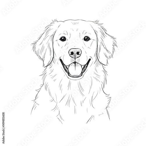 Happy Golden Retriever Sketch
