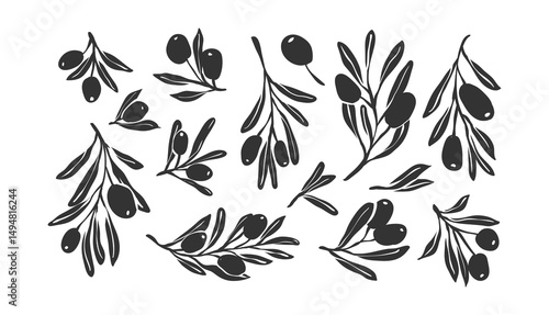 Olive Branch and oil logo or olive icon, minimalist doodle olive branch botanical herbs elements in vector format, floral olive frame and border vector