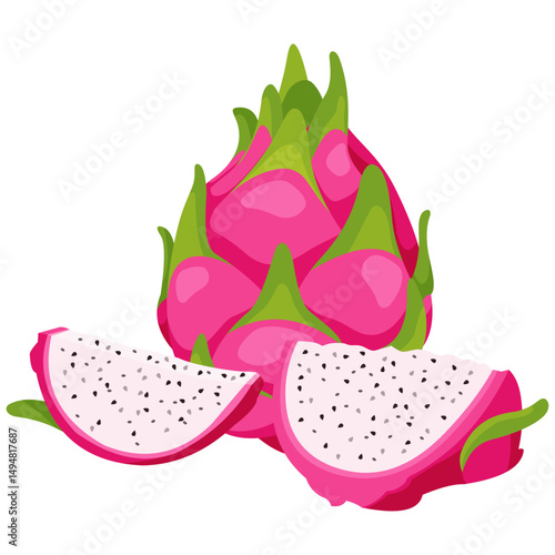 Vector image of Dragon fruit with isolated white background and transparent