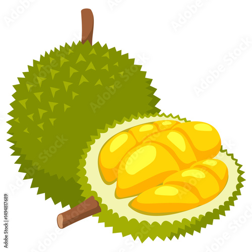 Vector image of Durian fruit with isolated white background and transparent