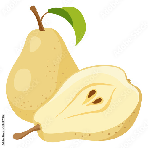 Vector image of Pear fruit with isolated white background and transparent