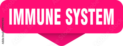immune system sticker. immune system sign on transparent background