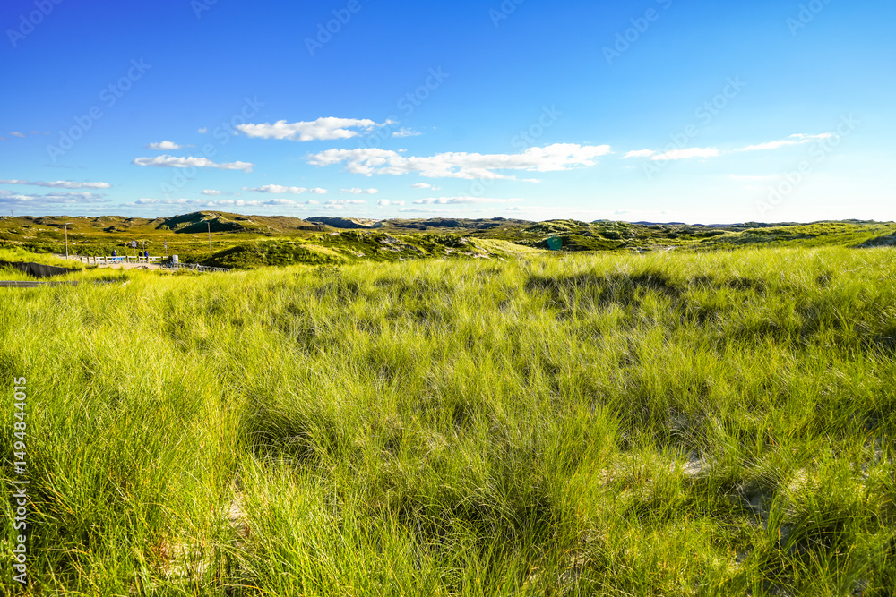 Obraz premium View of the west beach on the North Frisian island of Sylt. Landscape on the North Sea coast. 