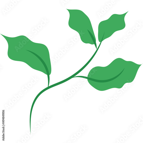 Green Tea Leaves