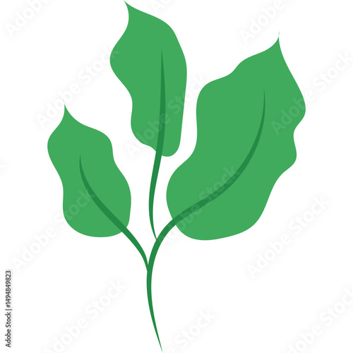 Green Tea Leaves