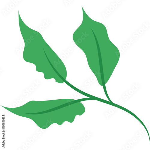 Green Tea Leaves