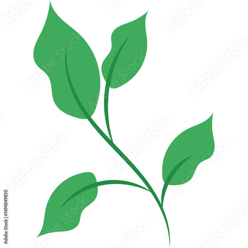 Green Tea Leaves