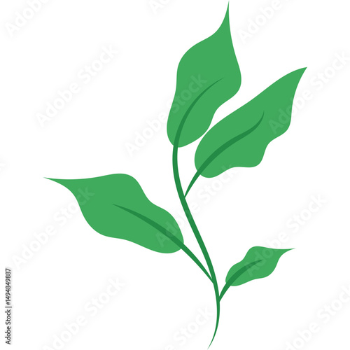 Green Tea Leaves