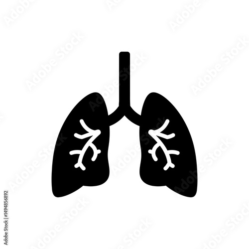 Lungs with Visible Air Paths Medical Diagram for Respiratory System
