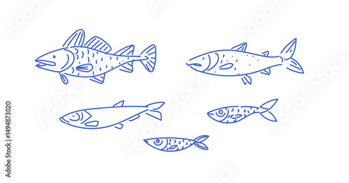 Set of North Sea fishes including haddock, saithe and herring drawn in simple linear style. Hand-drawn illustration of sea food.
