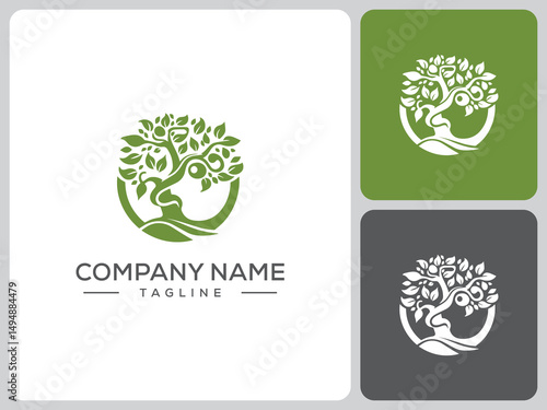 olive tree logo vector