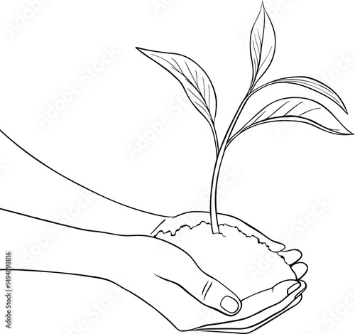 Seedling in Hands Vector LIne Drawing 