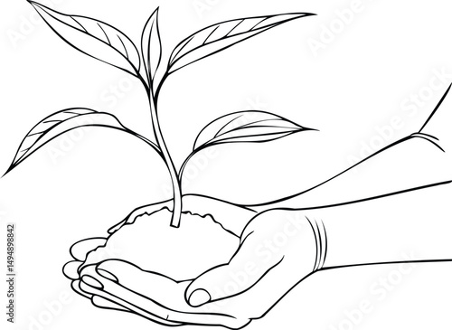 Seedling in Hands Vector LIne Drawing 