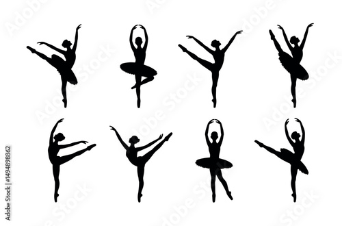 ballet dancer ballet motion