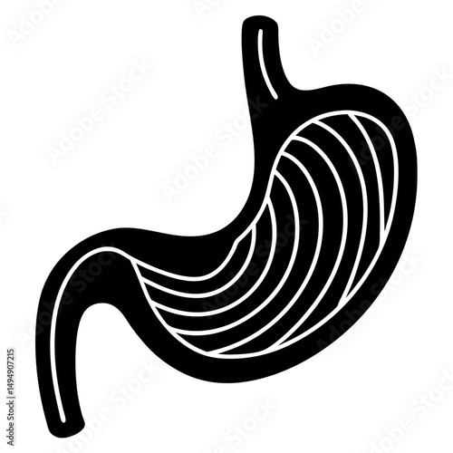 Internal Anatomy: A detailed black and white illustration of the human stomach, essential for understanding the digestive system and bodily functions.