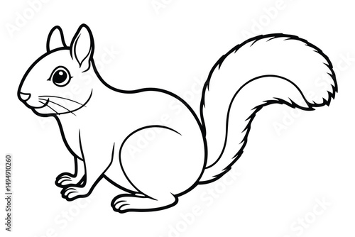 Squirrel line art vector, Squirrel animal icon vector 
