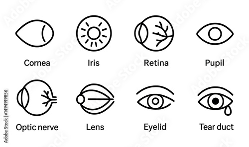 Eye anatomy outline icons set – flat, linear, medical and ophthalmology symbols