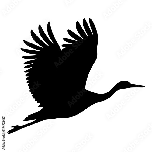 Graceful Sandhill Crane in Silhouette Soaring Through the Sky with Majestic Wings