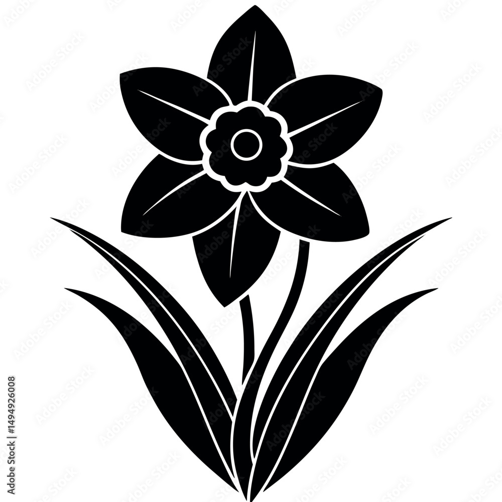 Obraz premium Silhouette of Spring Flower Daffodil with Tube Center