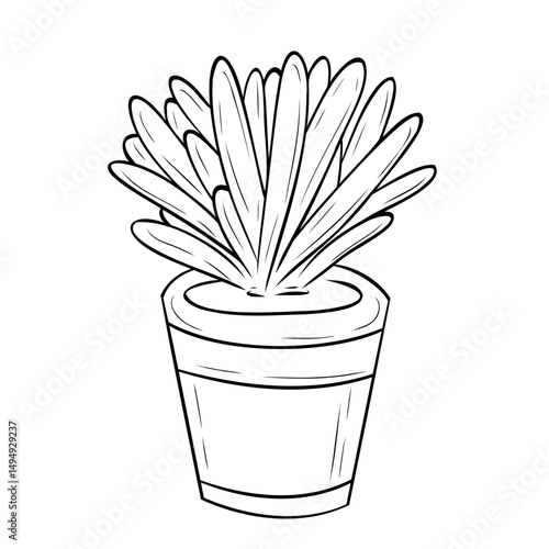 Wonderful succulent in a pot. Vector graphic illustration, object from a large set of succulents. For the design, decoration and composition of postcards, posters, stickers, prints