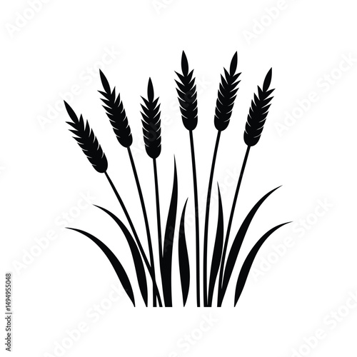 Silhouette of Wheat Stalks A Simple, Elegant Botanical Illustration