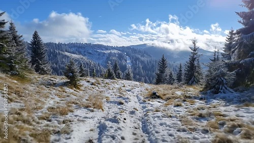 Wallpaper Mural Snow Covered Mountain Trail with Evergreen Trees and Blue Sky Sunny Day in Winter Season Torontodigital.ca