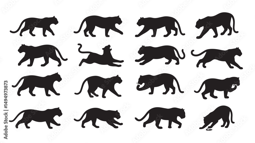 Obraz premium A set of 12 black cat tiger silhouette cliparts