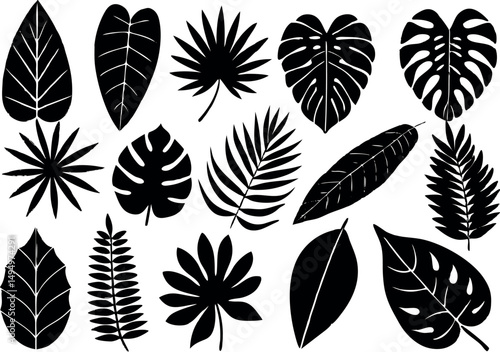 set of nine black and white tropical palm leaves silhouettes on a white background.