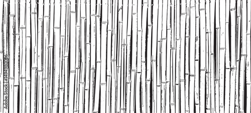 Vector texture of a bamboo sticks wall, featuring vertical natural elements. Organic design perfect for backgrounds, eco themes, or decor elements
